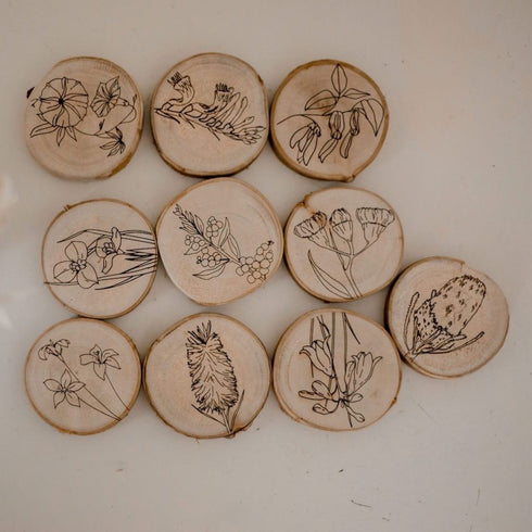 QTOYS - Australian Flora Discs - Set of 10